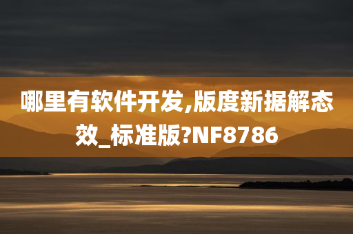 哪里有软件开发,版度新据解态效_标准版?NF8786