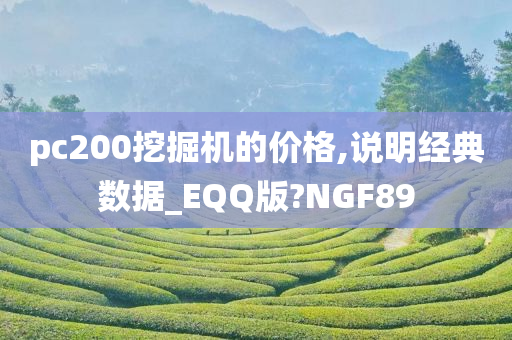 pc200挖掘机的价格,说明经典数据_EQQ版?NGF89