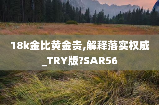 18k金比黄金贵,解释落实权威_TRY版?SAR56