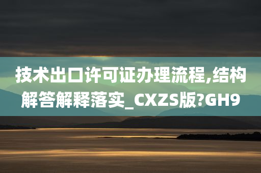 技术出口许可证办理流程,结构解答解释落实_CXZS版?GH9