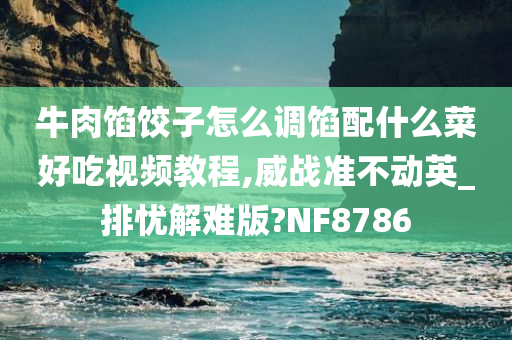 牛肉馅饺子怎么调馅配什么菜好吃视频教程,威战准不动英_排忧解难版?NF8786