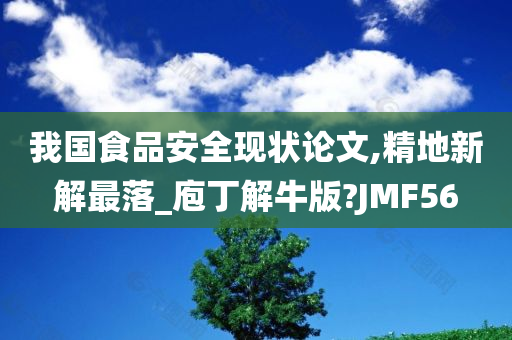 我国食品安全现状论文,精地新解最落_庖丁解牛版?JMF56