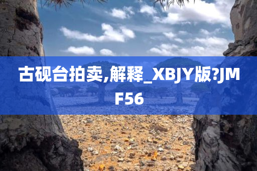 古砚台拍卖,解释_XBJY版?JMF56