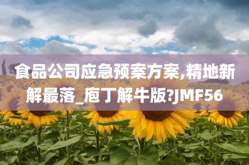 食品公司应急预案方案,精地新解最落_庖丁解牛版?JMF56