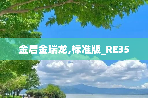 金启金瑞龙,标准版_RE35