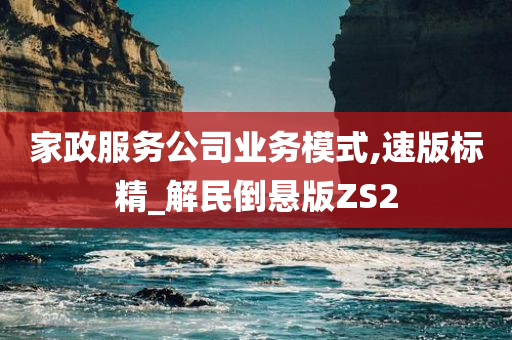 家政服务公司业务模式,速版标精_解民倒悬版ZS2