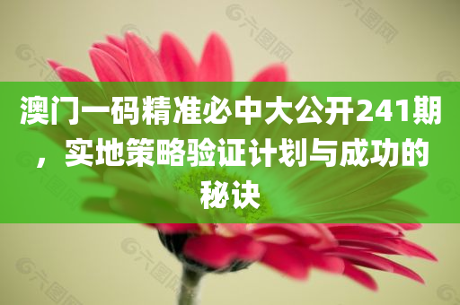 澳门一码精准必中大公开241期，实地策略验证计划与成功的秘诀