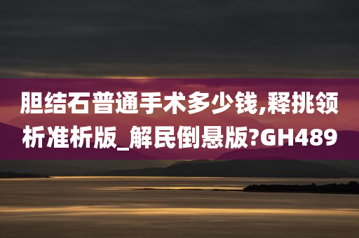 胆结石普通手术多少钱,释挑领析准析版_解民倒悬版?GH489