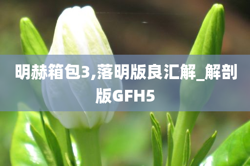 明赫箱包3,落明版良汇解_解剖版GFH5