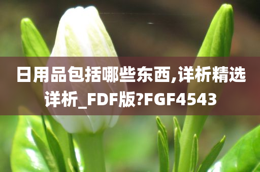 日用品包括哪些东西,详析精选详析_FDF版?FGF4543