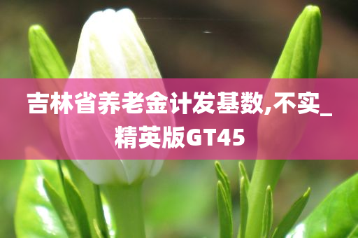 吉林省养老金计发基数,不实_精英版GT45