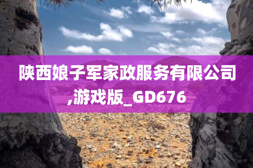 陕西娘子军家政服务有限公司,游戏版_GD676