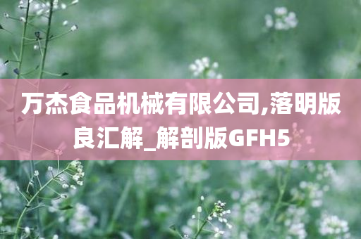 解剖版GFH5