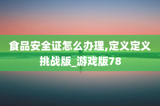 食品安全证怎么办理,定义定义挑战版_游戏版78