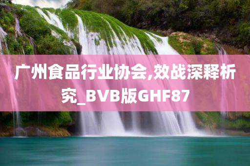 广州食品行业协会,效战深释析究_BVB版GHF87