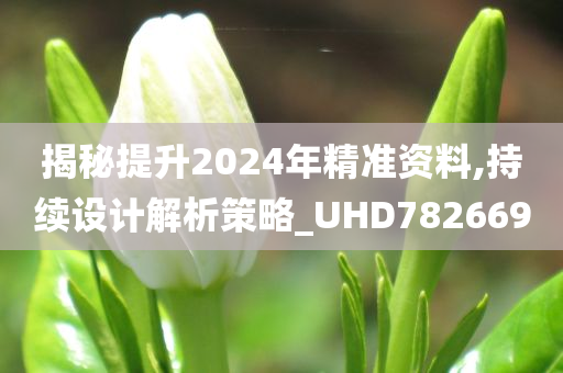 揭秘提升2024年精准资料,持续设计解析策略_UHD782669