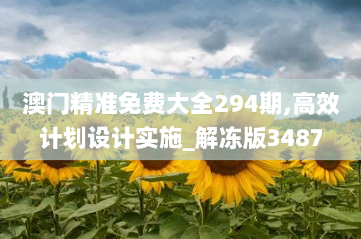 澳门精准免费大全294期,高效计划设计实施_解冻版3487