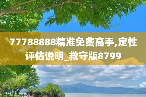 77788888精准免费高手,定性评估说明_救守版8799