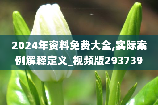 2024年资料免费大全,实际案例解释定义_视频版293739