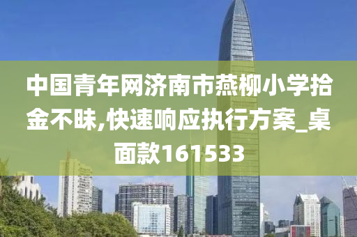 中国青年网济南市燕柳小学拾金不昧,快速响应执行方案_桌面款161533