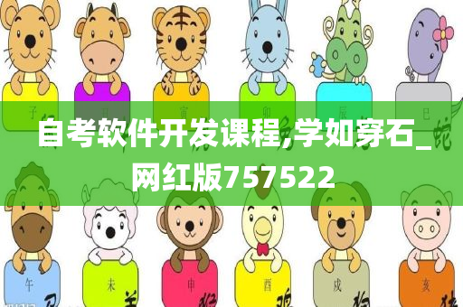 自考软件开发课程,学如穿石_网红版757522