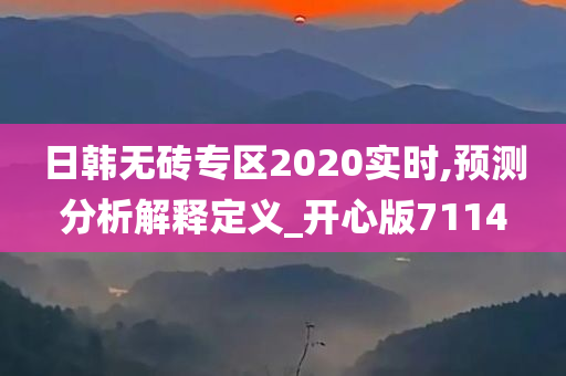 日韩无砖专区2020实时,预测分析解释定义_开心版7114