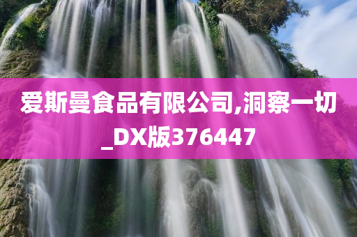 爱斯曼食品有限公司,洞察一切_DX版376447