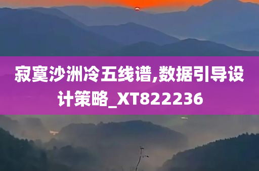 寂寞沙洲冷五线谱,数据引导设计策略_XT822236