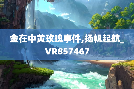 金在中黄玫瑰事件,扬帆起航_VR857467