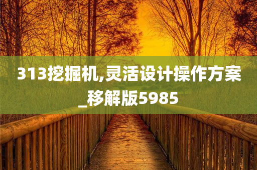 313挖掘机,灵活设计操作方案_移解版5985