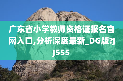 广东省小学教师资格证报名官网入口,分析深度最新_DG版?JJ555