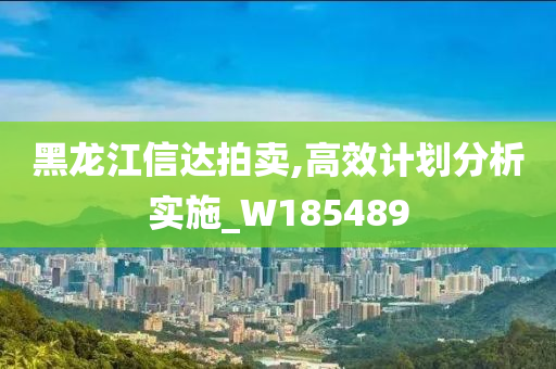 黑龙江信达拍卖,高效计划分析实施_W185489