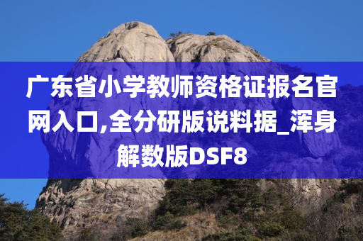 广东省小学教师资格证报名官网入口,全分研版说料据_浑身解数版DSF8