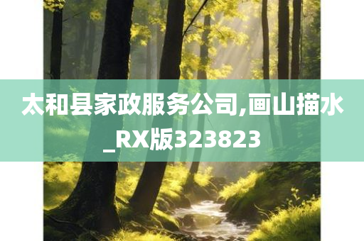 太和县家政服务公司,画山描水_RX版323823