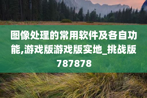 图像处理的常用软件及各自功能,游戏版游戏版实地_挑战版787878