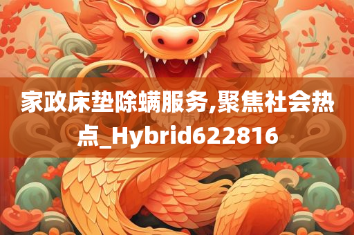 家政床垫除螨服务,聚焦社会热点_Hybrid622816