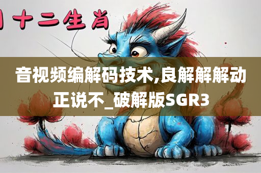 音视频编解码技术,良解解解动正说不_破解版SGR3