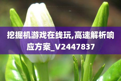 挖掘机游戏在线玩,高速解析响应方案_V2447837