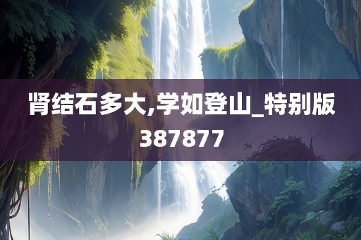 肾结石多大,学如登山_特别版387877