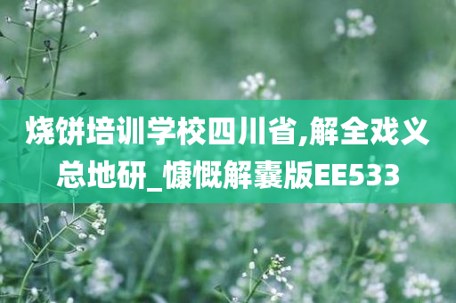 烧饼培训学校四川省,解全戏义总地研_慷慨解囊版EE533