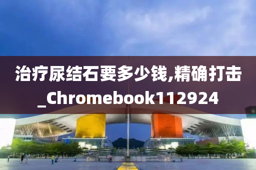 治疗尿结石要多少钱,精确打击_Chromebook112924