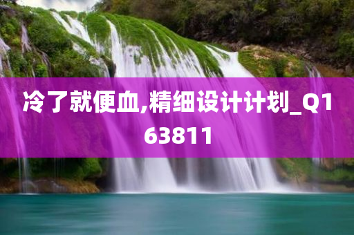 冷了就便血,精细设计计划_Q163811