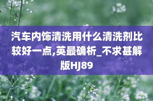 汽车内饰清洗剂 第3页