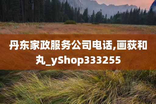 丹东家政服务公司电话,画荻和丸_yShop333255