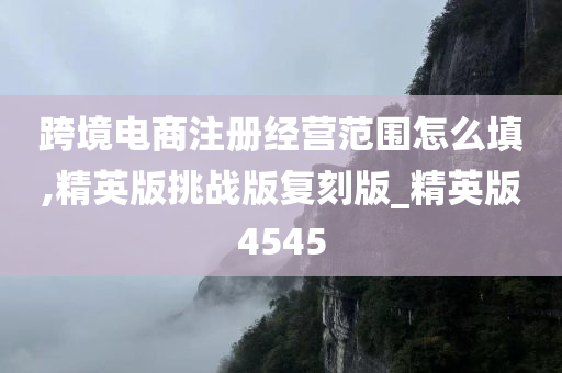 跨境电商注册经营范围怎么填,精英版挑战版复刻版_精英版4545