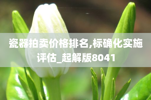 瓷器拍卖价格排名,标确化实施评估_起解版8041