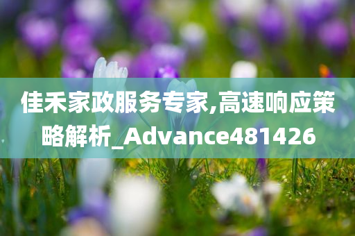 佳禾家政服务专家,高速响应策略解析_Advance481426