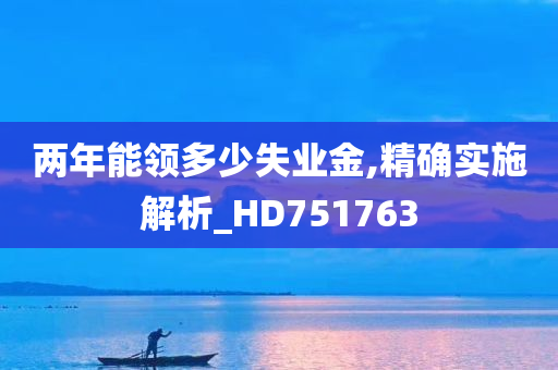 两年能领多少失业金,精确实施解析_HD751763