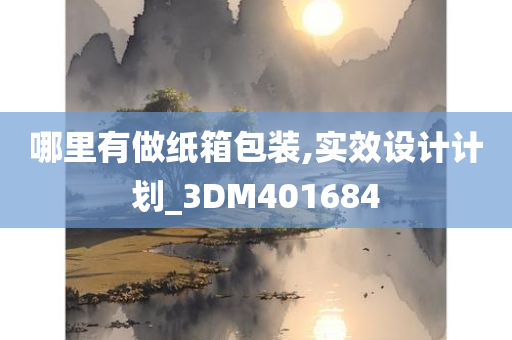 哪里有做纸箱包装,实效设计计划_3DM401684