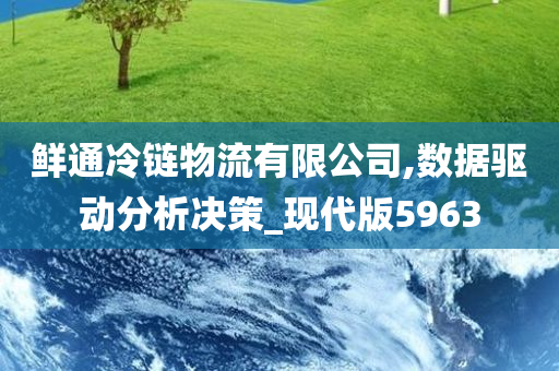 鲜通冷链物流有限公司,数据驱动分析决策_现代版5963